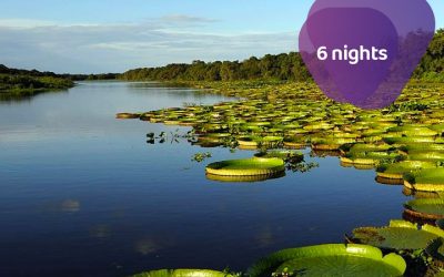 Ecotourism Highlights: Iguazú Falls and Iberá Wetlands