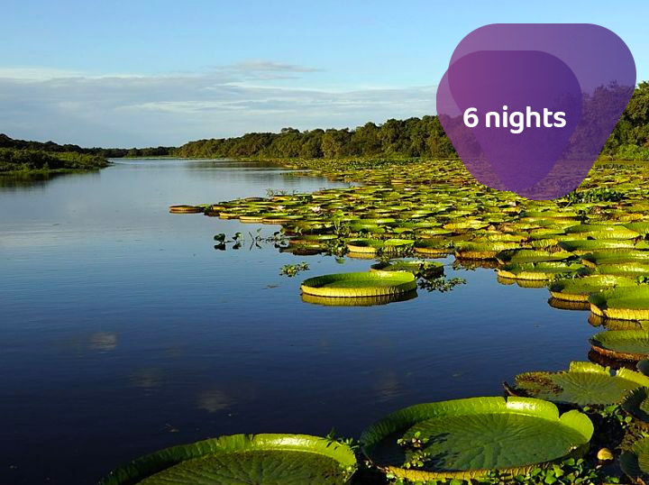 Ecotourism Highlights: Iguazú Falls and Iberá Wetlands