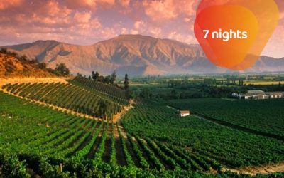 Chile and Argentina: Wine Tour Experience